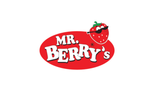 Mzuri sweets logo